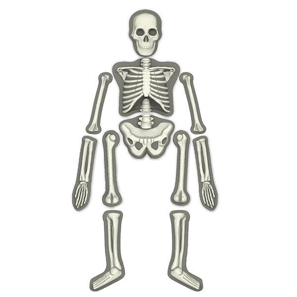 Набор "Юный врач" Скелет человека